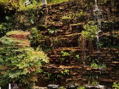 -广州神农草堂中医药博物馆