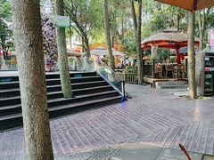 -二荆条·蜀鲜汇城市森林火锅