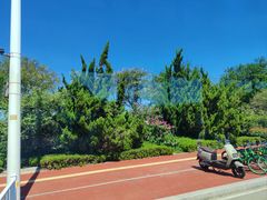 -日照世帆赛基地