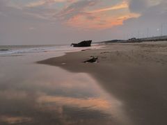 -西涌国际滨海旅游区