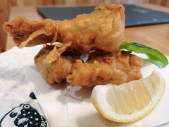 唐扬炸河豚-桥岚·巷子鲜河豚鱼(专门店)