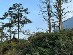 -峨眉山风景名胜区