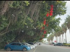 -南沙十九涌渔人码头-南门