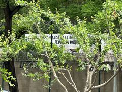 -簋街