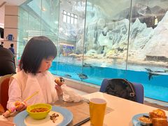 -帝企鹅自助餐厅•儿童岛•真企鹅(长隆企鹅酒店)