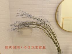 -FUMEIHUI·科技美肤·美体SPA