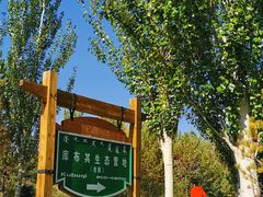 -亿利库布其七星湖沙漠生态旅游区