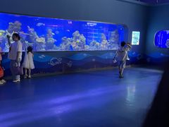 -重庆欢乐海底世界