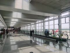 -山东特产豪士特(遥墙国际机场店)