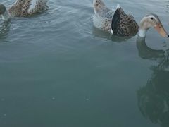 -大宁灵石公园西门票处