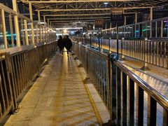 -武汉关码头(轮渡站)