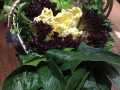 蔬菜拼盘-快乐小羊·内蒙牛羊肉火锅(流花中心店)
