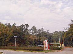 -天鹿湖森林公园