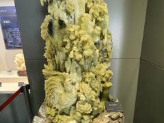 -安徽省地质博物馆