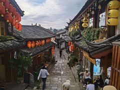 -内涵饵块