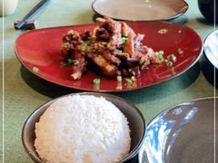 -松赞拉萨林卡酒店