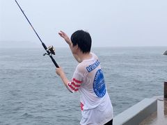 -阿军排档·烧烤