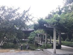 -东航云逸酒店(九溪烟树店)