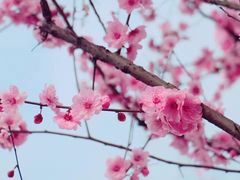 -白鹭湾湿地公园