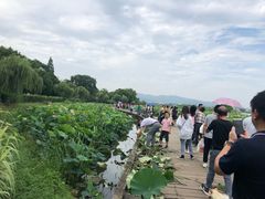 -上海市保健医疗中心(华东疗养院)