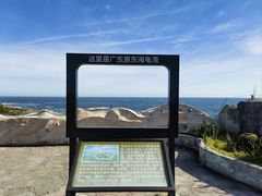 -广东惠东海龟国家级自然保护区