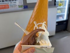 -野人先生现做冰淇淋(北京悠唐购物中心店)