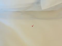 -三亚亚龙湾万豪度假酒店