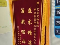 -艾吉宠物医院·疑难杂症转诊中心·猫友好(碧江路院)