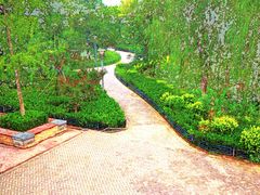 -大兴滨河森林公园