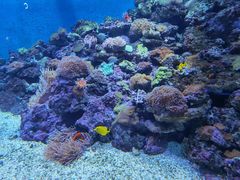 -成都浩海立方海洋公园