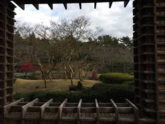 -雪绿茶博物馆