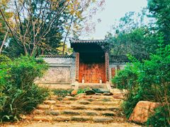 -深圳国际园林花卉博览园