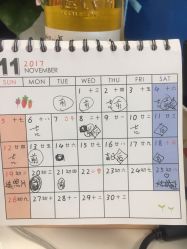 -寇氏减肥