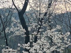 -赤水丹霞旅游区·大瀑布
