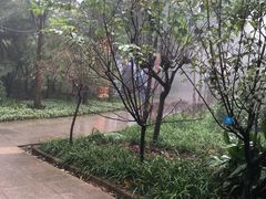-南山植物园