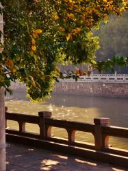 -保丽宝泰母婴护理院·月子中心·产康·中医(常州店)