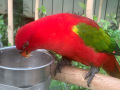 -南宫五洲植物乐园