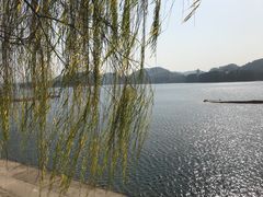 -千岛湖城中湖游船码头