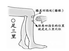 -康之道盲人按摩(二七路No.5店)