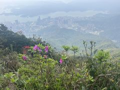 -梧桐山风景名胜区