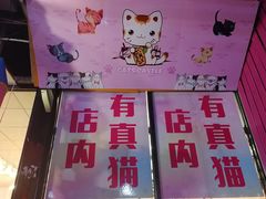 -猫咪博物馆(顶澳仔猫街店)