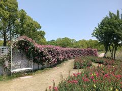 -嘉北郊野公园