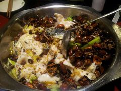 android_upload_pic-万和源炝锅城·活鱼现炝(文艺北路店)