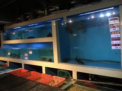 -米特.新派中国菜(锦绣江南店)