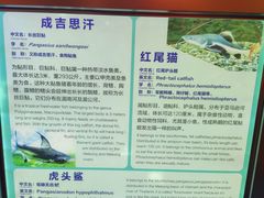 -西双版纳原始森林公园