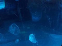 -梦幻海洋王国(吾悦广场张家港店)