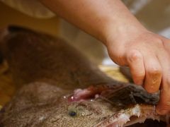 -镹·鱼料理  国产鱼使用店