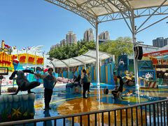 -海合安成都极地海洋公园