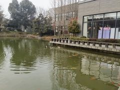 -天目湖涵田度假村
