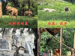 -北京野生动物园